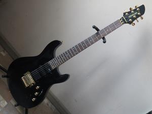 Fernandes APG-85S