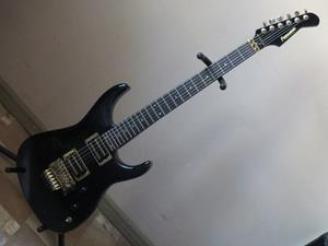 Fernandes FR