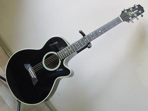 Takamine PT-106